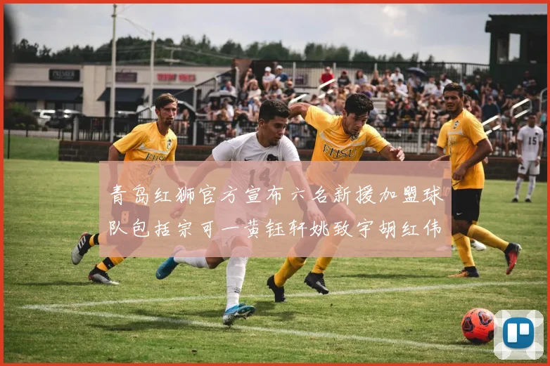 青岛红狮官方宣布六名新援加盟球队包括宗可一黄钰轩姚致宇胡红伟等人