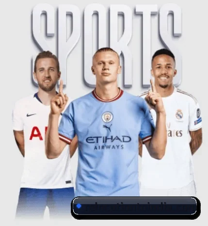 mksports官方网站 APP